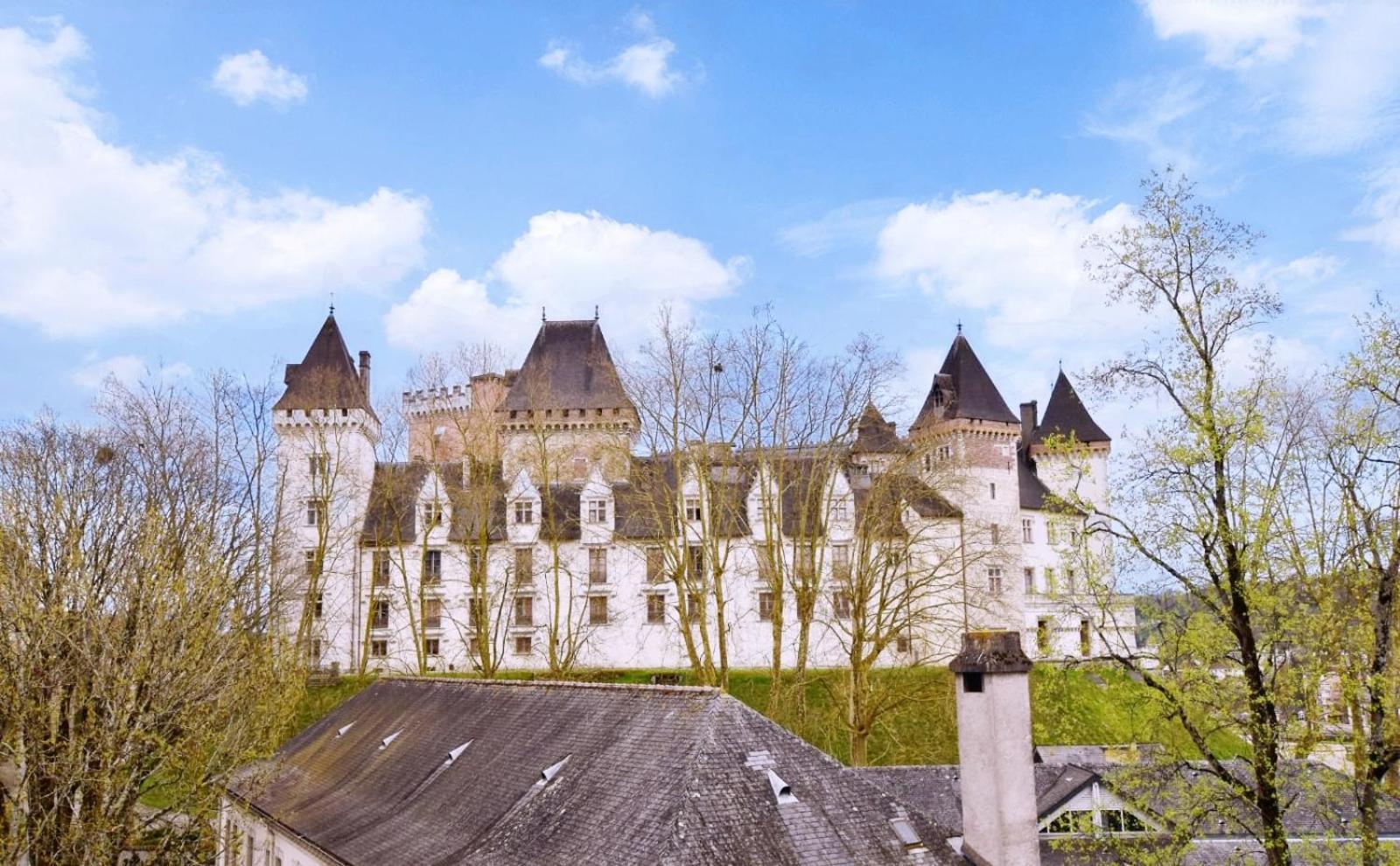 La Vue Royale - Face Au Chateau - Wifi - 4 Personnes Pau Extérieur photo
